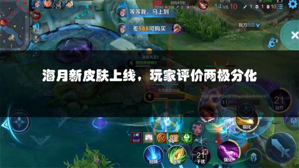海月新皮肤上线，玩家评价两极分化