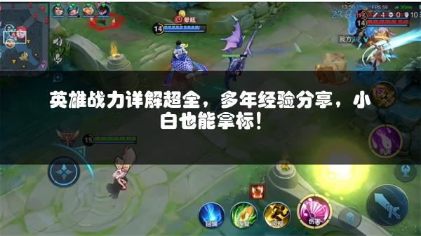 英雄战力详解超全，多年经验分享，小白也能拿标！