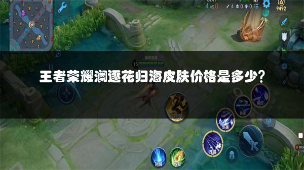 王者荣耀澜逐花归海皮肤价格是多少？