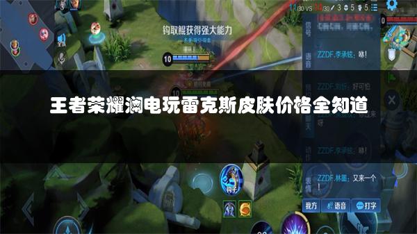 王者荣耀澜电玩雷克斯皮肤价格全知道