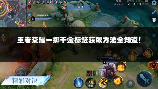 王者荣耀一掷千金标签获取方法全知道！
