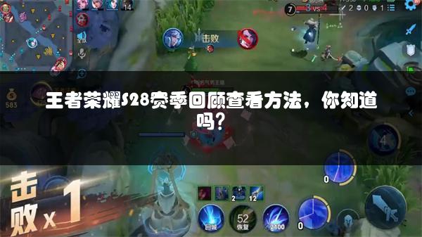 王者荣耀S28赛季回顾查看方法，你知道吗？