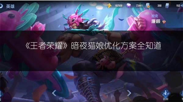 《王者荣耀》暗夜猫娘优化方案全知道