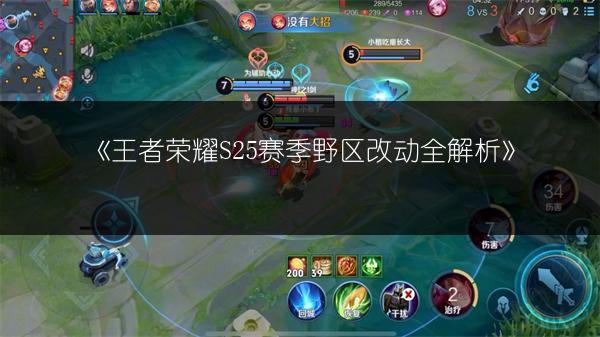 《王者荣耀S25赛季野区改动全解析》