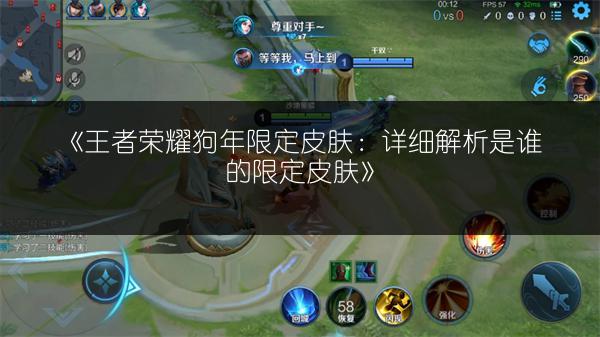 《王者荣耀狗年限定皮肤：详细解析是谁的限定皮肤》