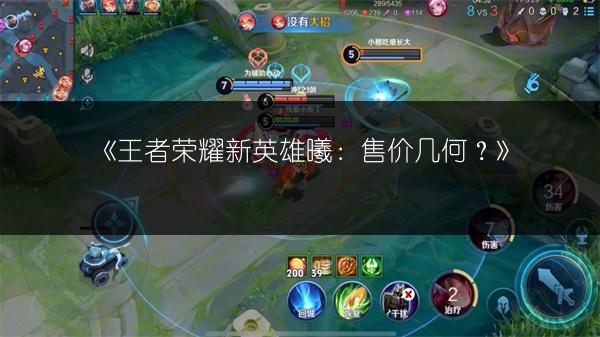 《王者荣耀新英雄曦：售价几何？》