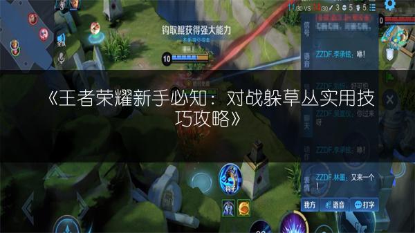 《王者荣耀新手必知：对战躲草丛实用技巧攻略》