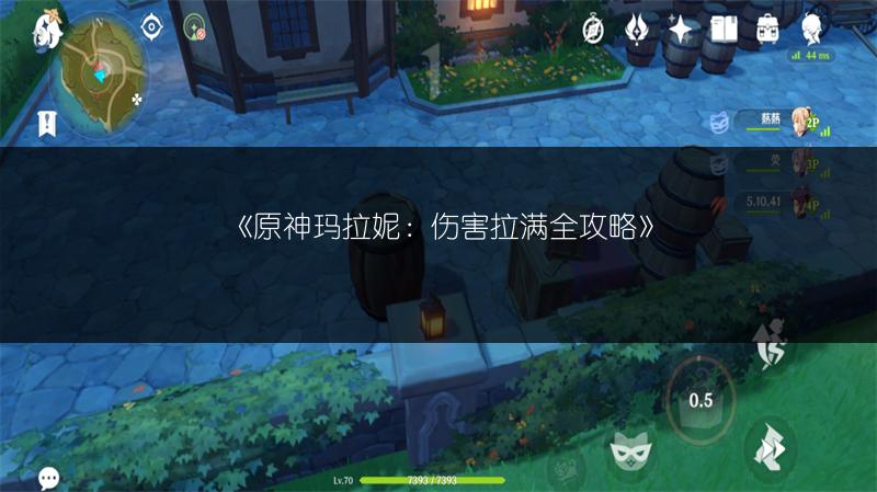 《原神玛拉妮：伤害拉满全攻略》