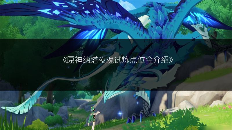 《原神纳塔夜魂试炼点位全介绍》