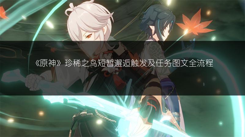 《原神》珍稀之鸟短暂邂逅触发及任务图文全流程