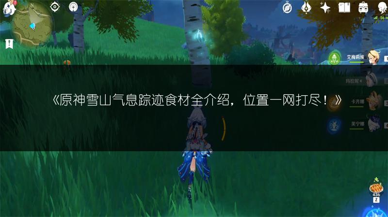 《原神星轨王城试炼阵容选择攻略》