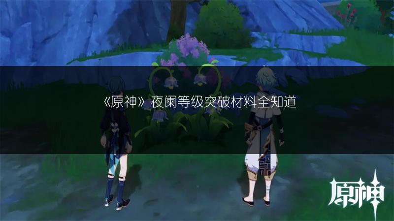 《原神》夜阑等级突破材料全知道