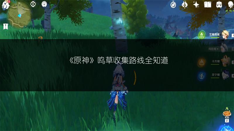 《原神》鸣草收集路线全知道