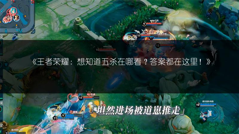《王者荣耀：想知道五杀在哪看？答案都在这里！》