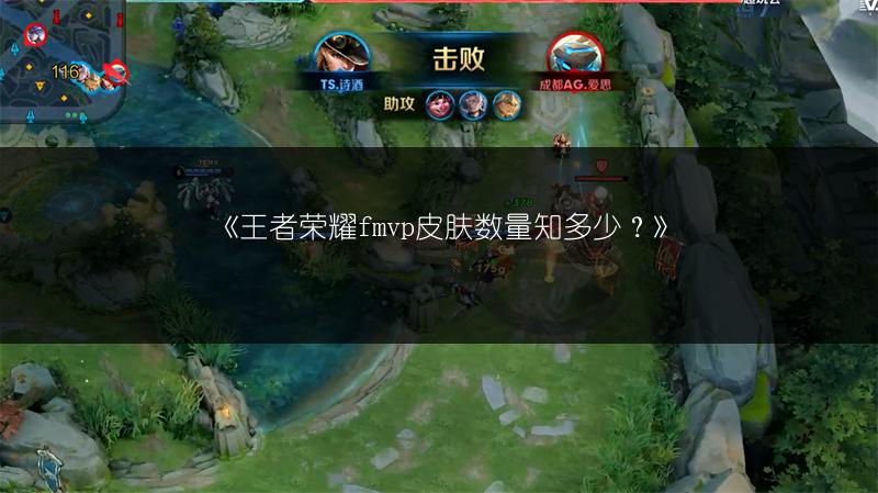 《王者荣耀fmvp皮肤数量知多少？》