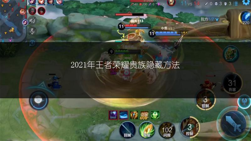 2021年王者荣耀贵族隐藏方法