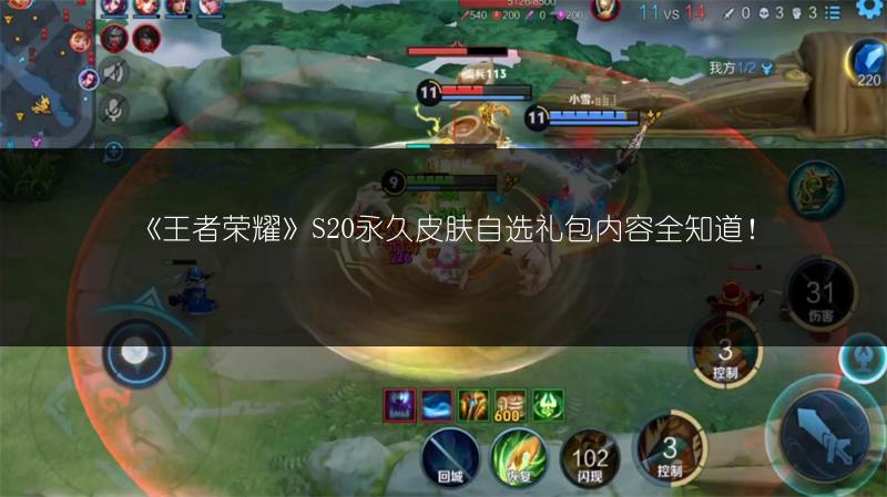 《王者荣耀》S20永久皮肤自选礼包内容全知道！