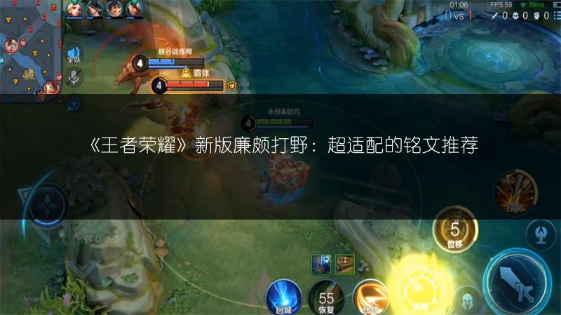 《王者荣耀》新版廉颇打野：超适配的铭文推荐