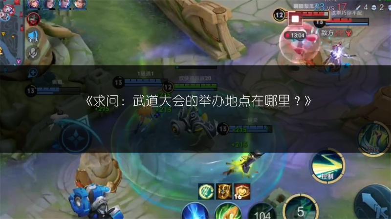 《求问：武道大会的举办地点在哪里？》