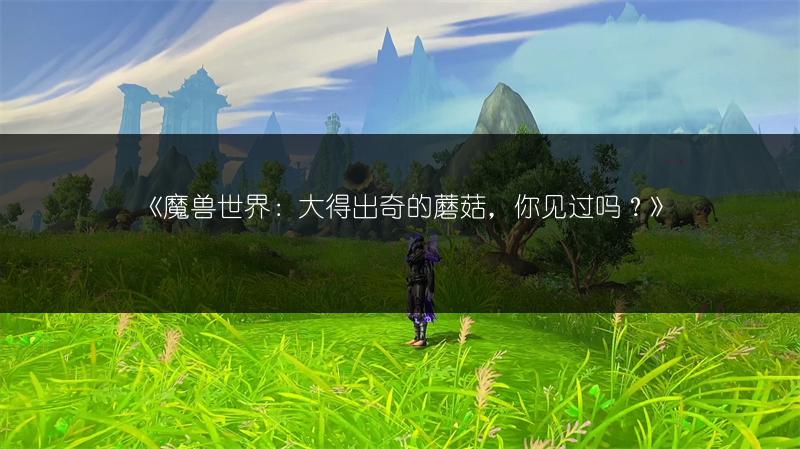 《魔兽世界》复仇之手军需官位置全解析