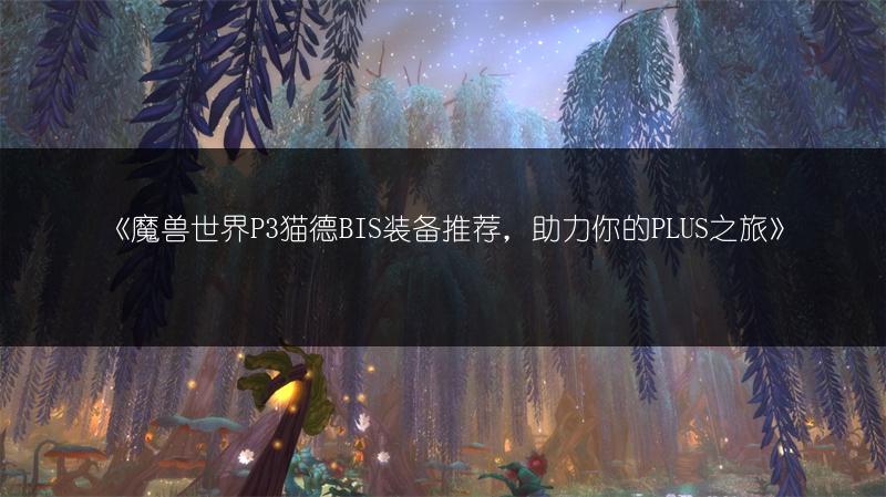 《魔兽世界P3猫德BIS装备推荐，助力你的PLUS之旅》