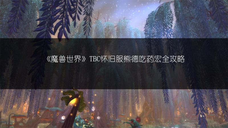 《魔兽世界》TBC怀旧服熊德吃药宏全攻略