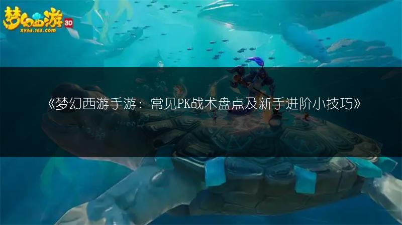 《梦幻西游手游：常见PK战术盘点及新手进阶小技巧》
