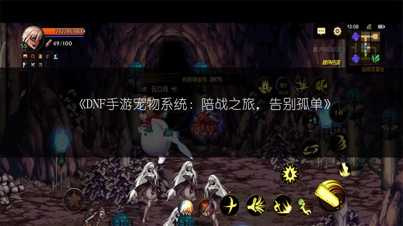 《DNF手游宠物系统：陪战之旅，告别孤单》
