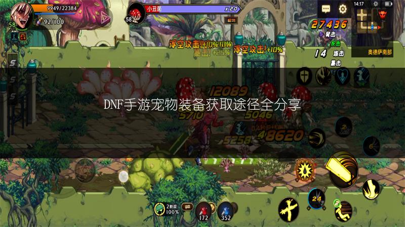 DNF手游宠物装备获取途径全分享