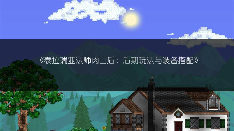 《泰拉瑞亚法师肉山后：后期玩法与装备搭配》