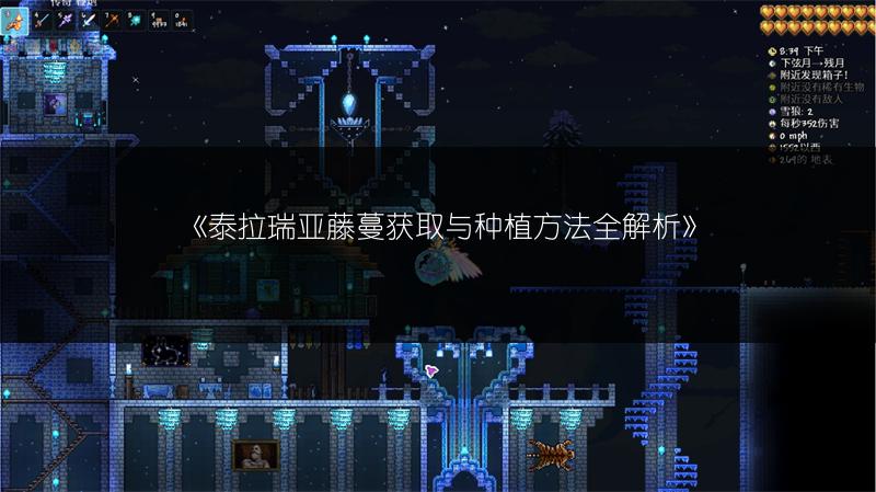 《泰拉瑞亚藤蔓获取与种植方法全解析》