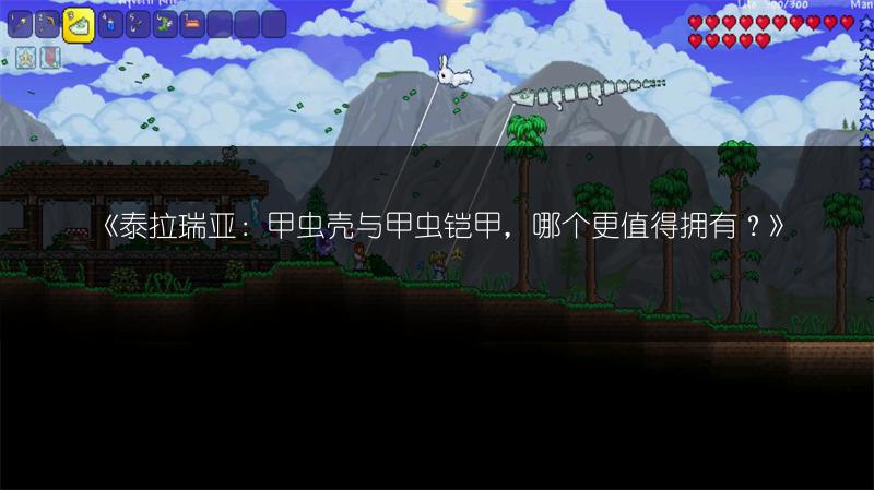 《泰拉瑞亚：甲虫壳与甲虫铠甲，哪个更值得拥有？》