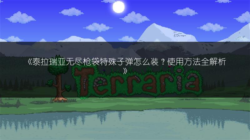 《泰拉瑞亚无尽枪袋特殊子弹怎么装？使用方法全解析》