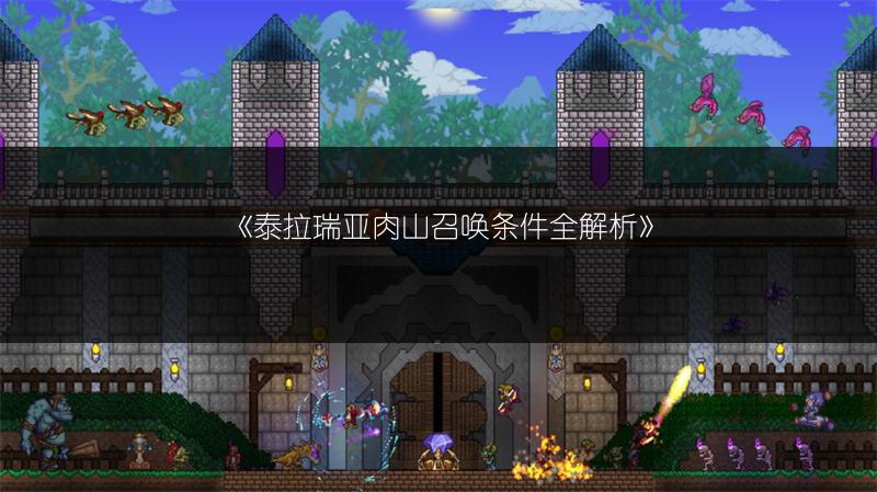 《泰拉瑞亚肉山召唤条件全解析》