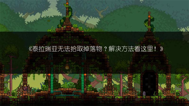 《泰拉瑞亚无法拾取掉落物？解决方法看这里！》