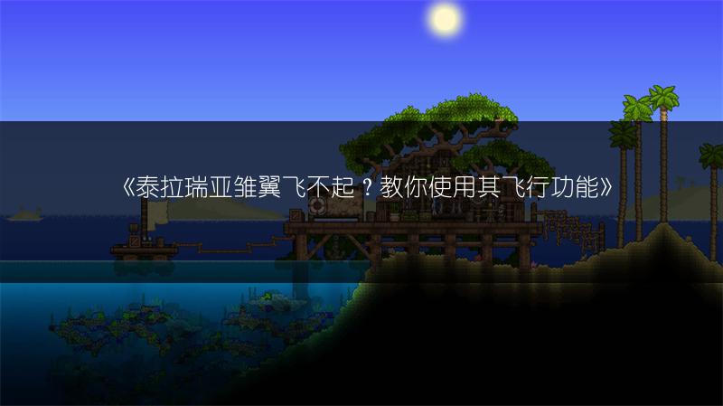 《泰拉瑞亚雏翼飞不起？教你使用其飞行功能》
