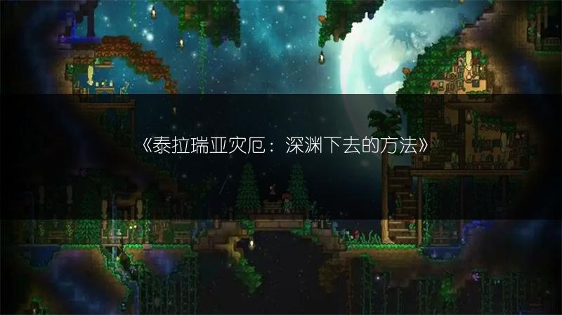 《泰拉瑞亚灾厄：深渊下去的方法》