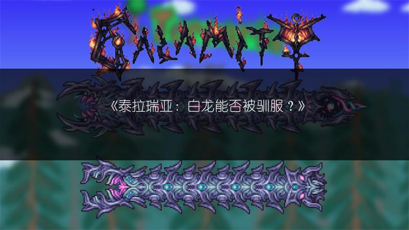 《泰拉瑞亚：白龙能否被驯服？》