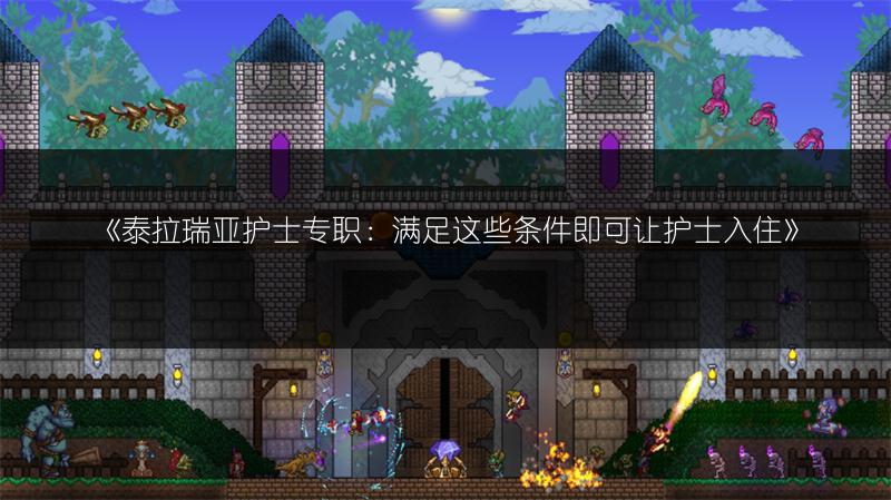 《泰拉瑞亚护士专职：满足这些条件即可让护士入住》