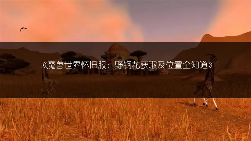 《魔兽世界怀旧服：野钢花获取及位置全知道》
