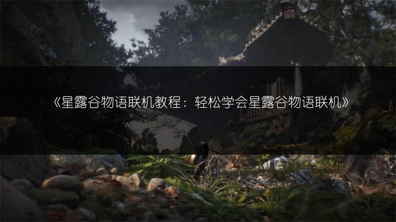 《星露谷物语联机教程：轻松学会星露谷物语联机》