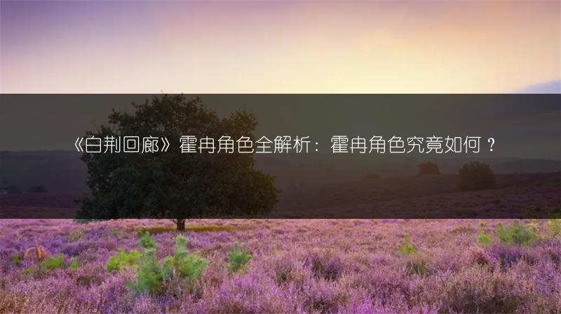 《白荆回廊》霍冉角色全解析：霍冉角色究竟如何？