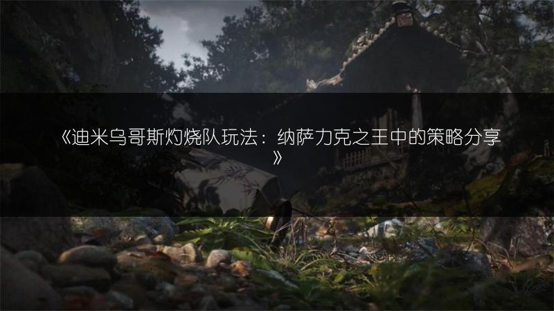 《迪米乌哥斯灼烧队玩法：纳萨力克之王中的策略分享》