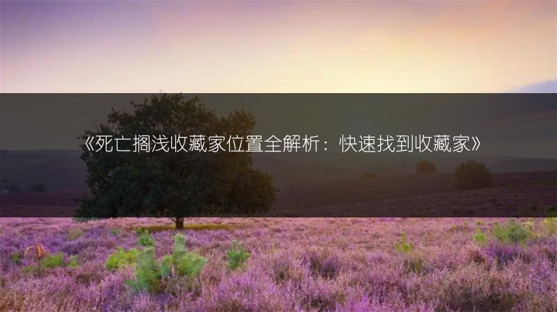 《死亡搁浅收藏家位置全解析：快速找到收藏家》