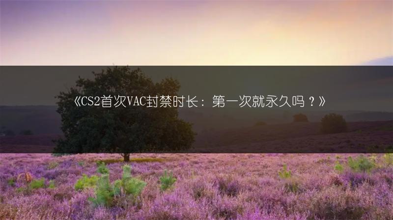 《CS2首次VAC封禁时长：第一次就永久吗？》