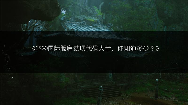 《CSGO国际服启动项代码大全，你知道多少？》