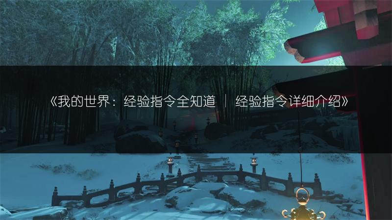 《白夜极光希罗娜全解析：角色详情大揭秘》