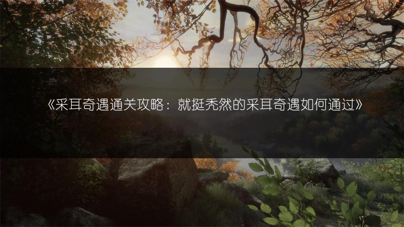 《采耳奇遇通关攻略：就挺秃然的采耳奇遇如何通过》