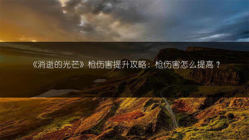 《消逝的光芒》枪伤害提升攻略：枪伤害怎么提高？