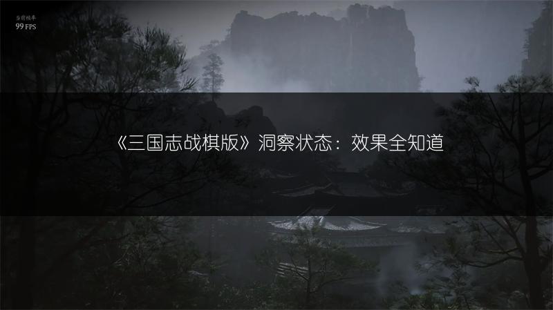 《三国志战棋版》洞察状态：效果全知道